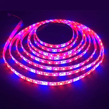 1/2/3/4/5m LED fito Augti Šviesos diodų (LED juostos augalai su 2A Power Adapter viduje auga palapinė, Sodo šviesos Žiedai Hydroponic lempos