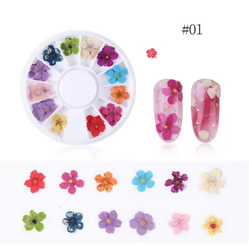 2 Dėžės 3D Džiovintų Gėlių Nagų Dekoravimo Natūralių Gėlių Lipdukas Mišrių Sausų Gėlių Nagų Dailės Lipdukai UV Gel Polish Manikiūro Įrankiai