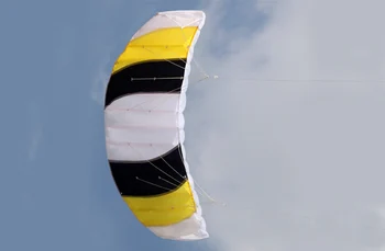 Lauko Įdomus Sporto Galios Dviguba Linija Stunt Parafoil Parašiutu Vaivorykštė Sportas Paplūdimyje Aitvaras Pradedantiesiems