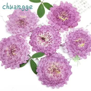 Mažas Violetinės Nekilnojamojo Žiedų Reljefinis Medžiagos Sausų Gėlių Sodas Namų Dekoro Priedai 