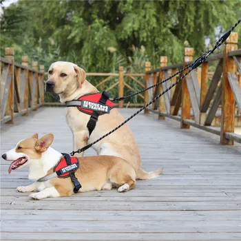 Pėsčiomis 2 du šunis vienu pavadėliu Nailono Nr. Raizginys Augintinį už Pavadėlio šuo & cat Veikia Mažas Vidutinis Didelis Šunys Pitbull Buldogas Pugs