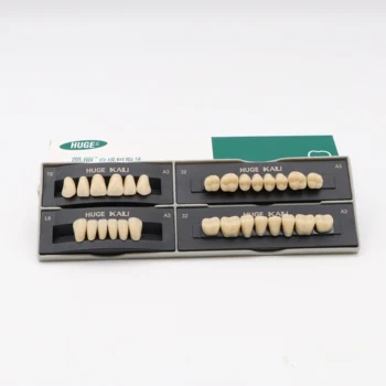 20 rinkinių, Odontologinės Medžiagos, dantų Protezų, Dantų Pilnas Komplektas False Dantų Balinimas, Dantų Modelio Dantų Lab Odontologija, Implantas