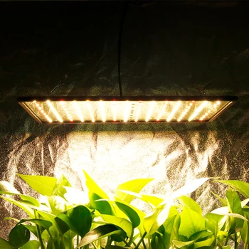 Augti Palapinė LED 1000W Augti Šviesos Kolegijos Pilno Spektro Lempa Augalams Šiltai Balta Led Fito Lempa Gėlės Patalpų Fitolamp Dėžutę