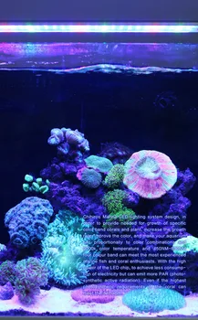 Chihiros Jūrų LED šviesos koralų BIS LPS akvariumas jūros rifas bakas balta juoda trumpa stilius