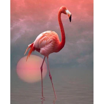 Diamond Tapybos kvadratiniu/Apvalus Gręžimo Flamingo 5D Daimond Tapybos, Siuvinėjimo Kryželiu Mozaikos Kristalų Nuotraukos Meno Z1682
