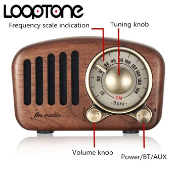 LoopTone Portable Bluetooth 5.0 Garsiakalbiai su FM Radijo Senovinių Rankų darbo Medienos Mega Bass Stereo Mini Dydžio TF kortelės MP3 Grotuvas, AUX