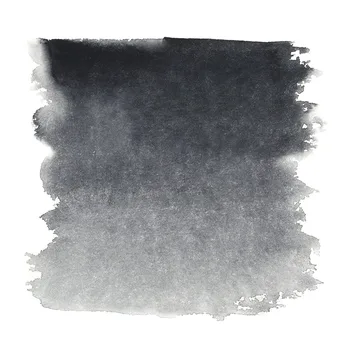 Neutralus juoda akvarelė 805 baltosios naktys kiuvetės 2,5 ml