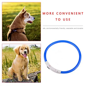 Šunų antkaklis USB įkrovimo šviesą skleidžiantys naminių gyvūnėlių apykaklės TPU gali sumažinti šunų saugos šviesos tinka mažoms ir vidutinio dydžio šunims