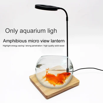 10W Miniatiūrinės Kraštovaizdžio Žuvų Bakas Akvariumas LED Šviesos Namuose USB Powered Vandeniui Sultingi Augalai vazonuose Su Medžio Lenta