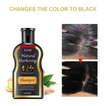 200ml juodų Plaukų Šampūnas Gamtos Patamsėjimą Šampūnas Nuolatinių Gamtinių Imbieras Dažymas Sąlygos Plaukų slinkimo Balti Plaukai Padengti