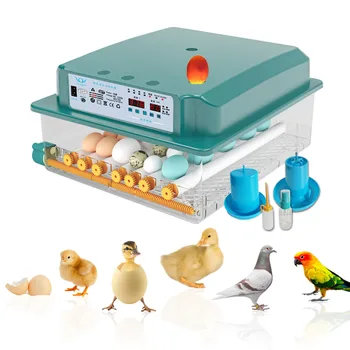 Geriausia Brooder Vištienos Ūkio Kiaušinių Inkubatorius Automatinė 24-36 Kiaušiniai Mašina Naujausias Temperatūra Vištienos Ančių, Putpelių Paukščių Brooder