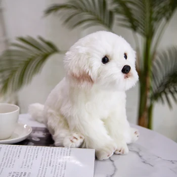 Modeliavimo maltiečių šuo pliušinis žaislas šuo mielas aukštos kokybės lėlės, lėlių 3D žaislas namų dekoro ypatingą gimtadienio, Kalėdų dovana vaikams