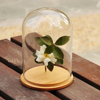 Stiklo Kupolas Dujomis Atspalvio Stiklo Bell Jar Bell Gėlės dangtelis su Medienos Pagrindo Namų Dekoro apdaila, vazos padengti formos skaidrus tuščias