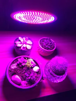 352/500/800 LED Grow Light Bulbs Augalai vegs Auginimo Žiburiai Galingas Daržovių Green House Lempos Hydroponic Sistema, LED
