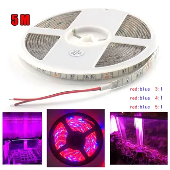 5M LED Augalų Auga juostelės Žibintai, vis fito lempos DC 12V 5050 žetonų už daržovių, gėlių Hidro Šiltnamio efektą sukeliančių patalpų growbox palapinė