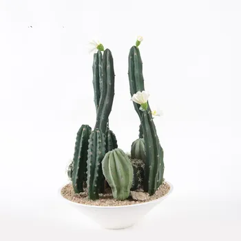 Dirbtinis Kaktusas Succulents Bonsai Padirbtų Augalų, Namų Dekoracijas Fotografijos Rekvizitai