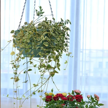 Klasikinio Stiliaus Gėlių Vazonas Plastikinis Savarankiškai Laistymo Puodą Kabinti Krepšius Augalai, Augalai, Vazonai, Namų, Naudojamų Su Fower/Žalia Augalų