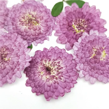 Mažas Violetinės Nekilnojamojo Žiedų Reljefinis Medžiagos Sausų Gėlių Sodas Namų Dekoro Priedai 