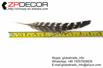 ZPDECOR 20-25cm(8-10inch) 100pieces/daug Didmeninės Originalus Natūralių Gražus Uždrausti Turkija Plunksnos Karnavalas Rodyti
