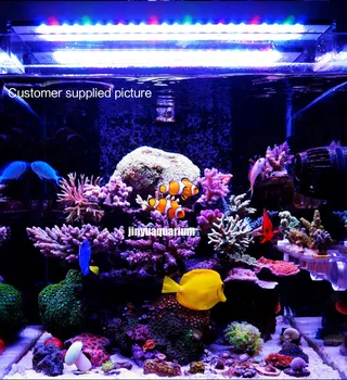 Chihiros Jūrų LED šviesos koralų BIS LPS akvariumas jūros rifas bakas balta juoda trumpa stilius