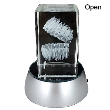 Dantų 3D Danties Modelis Aiškiai Krištolas Stendas Su LED Lempos Stovas Pobūdžio Dantų Spalvinga Vaikų Burnos Suvenyras, Dovana Decorarion